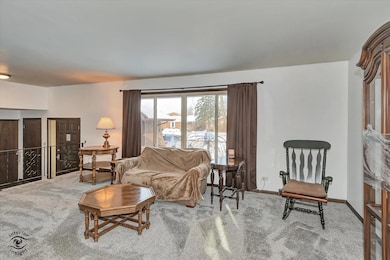 unlisted-address, Beecher, IL 60401 - photo 3