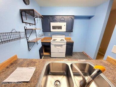 Kitchen view 2