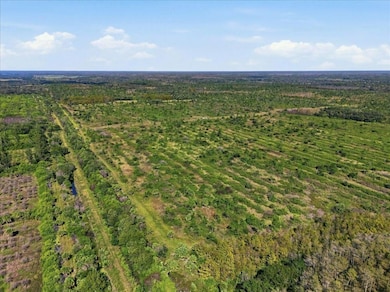 22305 Shoults Gr, Immokalee, FL 34142 - photo 4