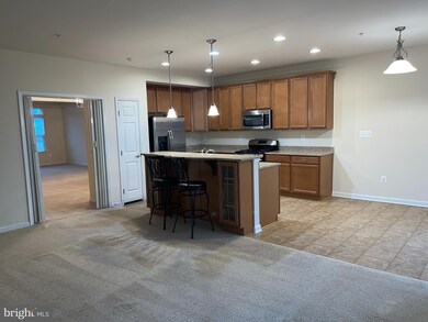 908 Hall Station Dr unit 204, Bowie, MD 20721 - photo 6