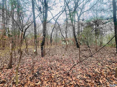 1 ACRE Whitman Cir, Huntsville, AL 35811 - photo 6