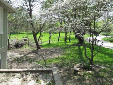 Beautiful front yard