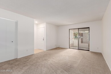 2146 W Isabella Ave unit 254, Mesa, AZ 85202 - photo 6