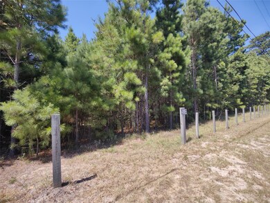 0 Fantail, Magnolia, TX 77355 - photo 3