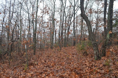 000 Logan Ridge Rd, Ozark, MO 65721 - photo 4