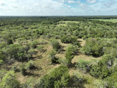 0 County Road 424, Waelder, TX 78959 - photo 6