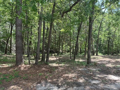 00 Harrogate Ln, Thomasville, GA 31792 - photo 2