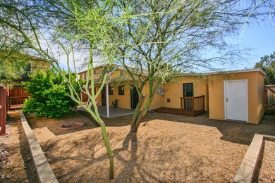 back yard 2.jpg