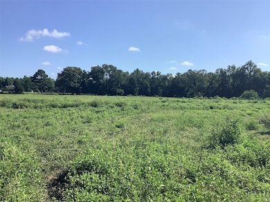 0000 Old Plain Dealing Rd, Benton, LA 71006 - photo 6