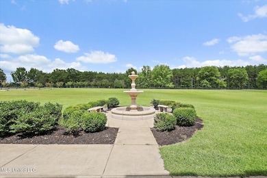 2917 Black Jack Rd, Vaughan, MS 39179 - photo 3