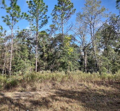 TBD SW 47th St, Ocala, FL 34481 - photo 5