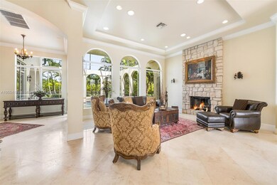 Wood Burning Fireplace with new stone surround