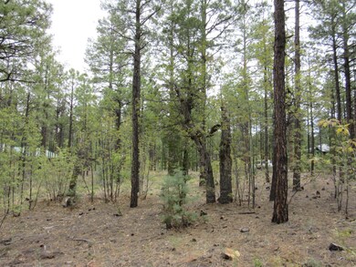 1701 S Bristle Cone Dr, Show Low, AZ 85901 - photo 6