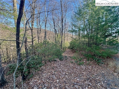 TBD Moon Beam Ln, Deep Gap, NC 28618 - photo 7