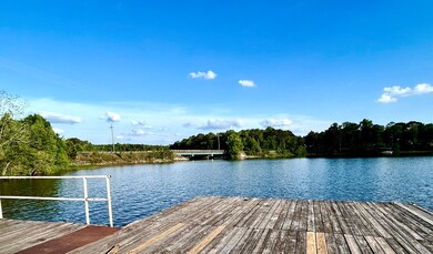 0 Eufaula Hwy, Fort Gaines, GA 39851 - photo 4