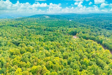 0 Spokelay Rd unit RTC2812627, Spencer, TN 38585 - photo 3