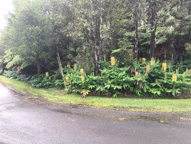 0 2nd St unit 298648, Volcano, HI 96785 - photo 4