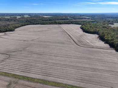 Oakview Rd, Modoc, IL 62261 - photo 5