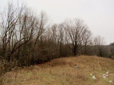 Woods and clearing