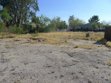 Large Lot