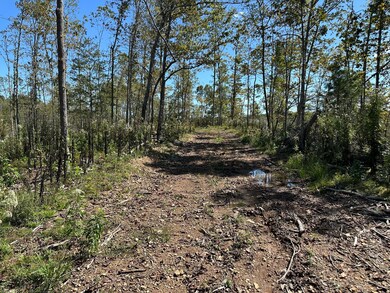 0 Tbd Only Rd, Only, TN 37140 - photo 6