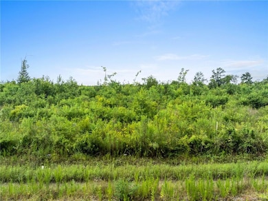 10 Abie Fontenot Rd, Iowa, LA 70647 - photo 4