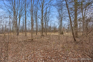 V/L 2528 Patterson Rd, Wayland, MI 49348 - photo 6