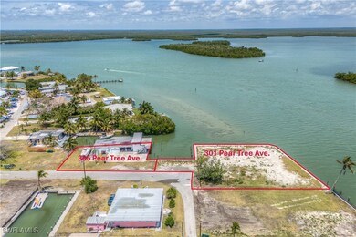 301 Pear Tree Ave, Goodland, FL 34140 - photo 5