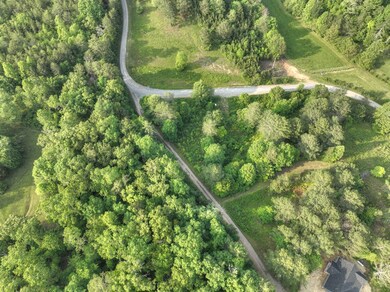 0 Murphy Hwy unit 402757, Mineral Bluff, GA 30559 - photo 7