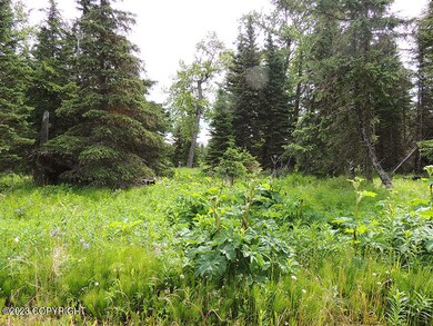 L7 B4 Plumb Ln, Happy Valley, AK 99556 - photo 6