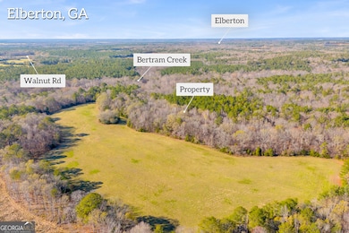 0 Lincolnton Hwy unit 10656813, Elberton, GA 30635 - photo 4