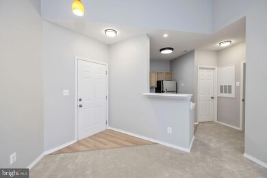 13070 Autumn Woods Way unit 304, Fairfax, VA 22033 - photo 2