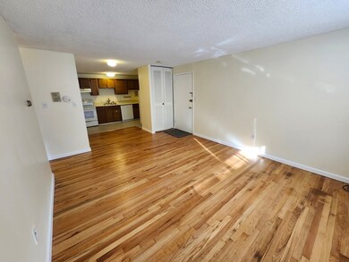 239 Kelton St unit 24, Allston, MA 02134 - photo 2