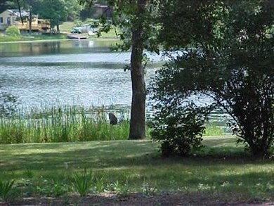 540 W Northern Ave, Brohman, MI 49312 - photo 5