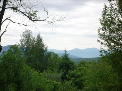 0 Vermont 102, Guildhall, VT 05905 - photo 3