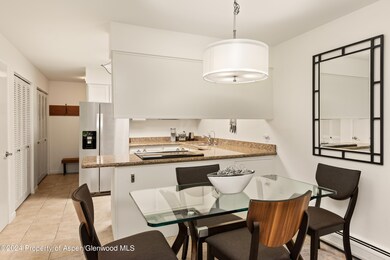 205 E Durant Ave unit 3-F, Aspen, CO 81611 - photo 6