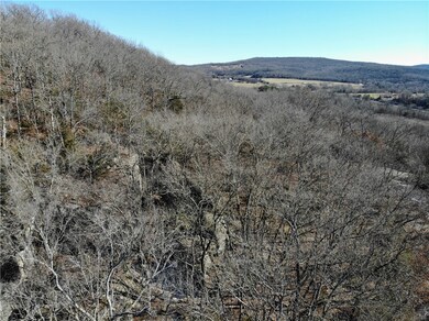 11529 Brubaker Rd, West Fork, AR 72774 - photo 7