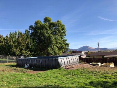 cannon back yard