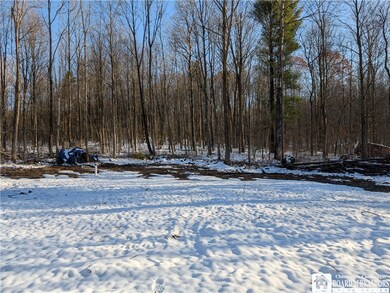 5458 Herrick Rd, Gerry, NY 14740 - photo 7