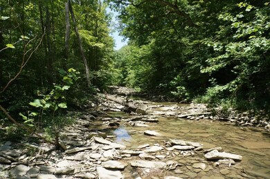 Allen Branch Creek