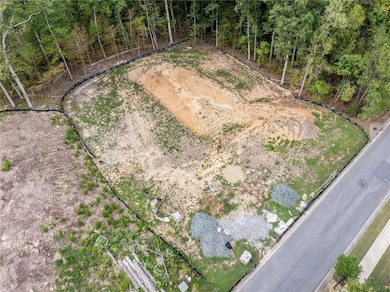 1022 Carl Sanders Dr, Acworth, GA 30101 - photo 4