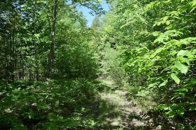 20230719234325521488000000-o