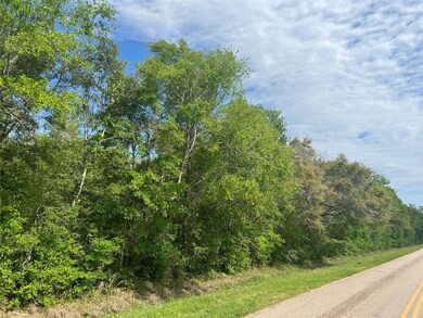 0 Cr 849, Brazoria, TX 77422 - photo 4