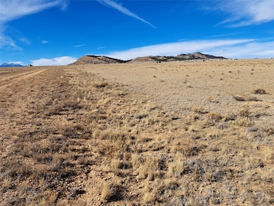 3547 Routt Rd, Hartsel, CO 80449 - photo 2