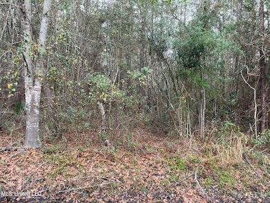 20250312205851343385000000-o