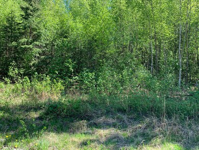 View from Road
