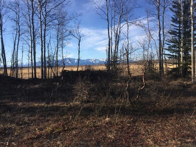ptarmigan rd2
