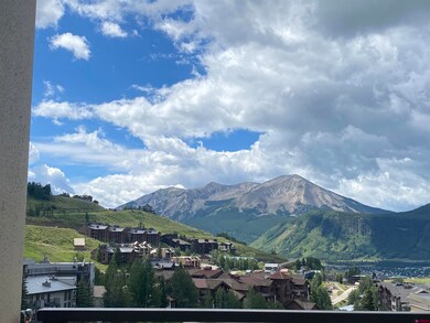 11 Snowmass Rd unit 532, Mt. Crested Butte, CO 81225 - photo 3