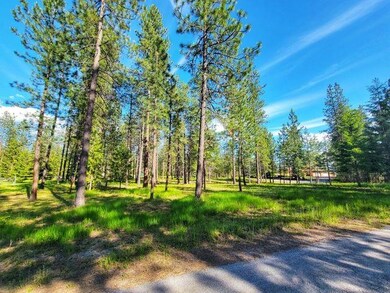 253 Eagle Dr, Chewelah, WA 99109 - photo 2