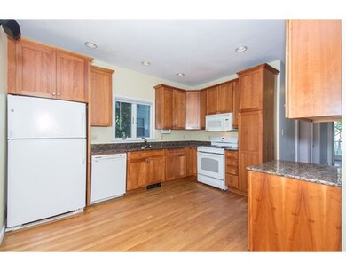 6 Worcester St unit 2, Belmont, MA 02478 - photo 5